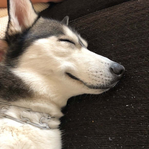 Meet the Posher Other - Meet your Posher, Lisa